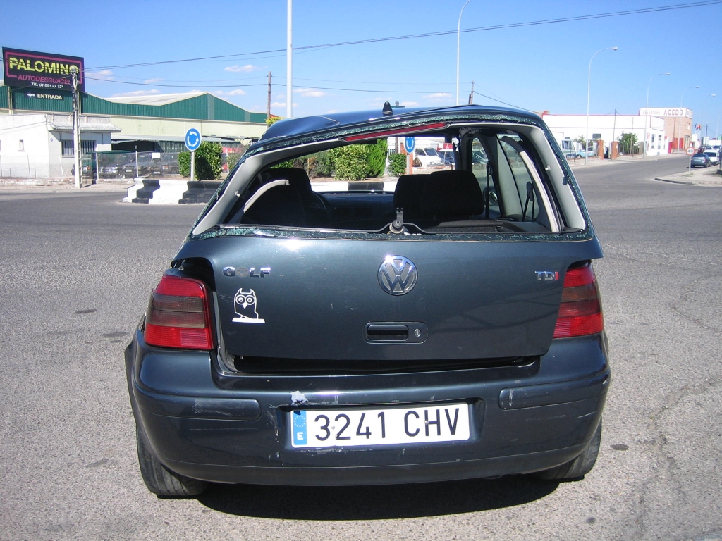 VISTA TRASERA VOLKSWAGEN GOLF 1.9 TDI 110CV