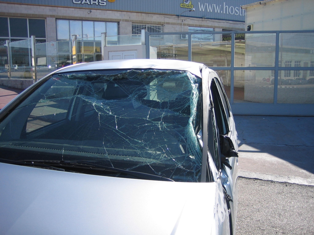 VISTA GOLPE TECHO OPEL MERIVA 1.7 CDTI 100CV