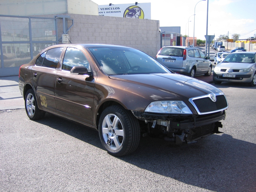 SKODA OCTAVIA 1.9 TDI 105CV