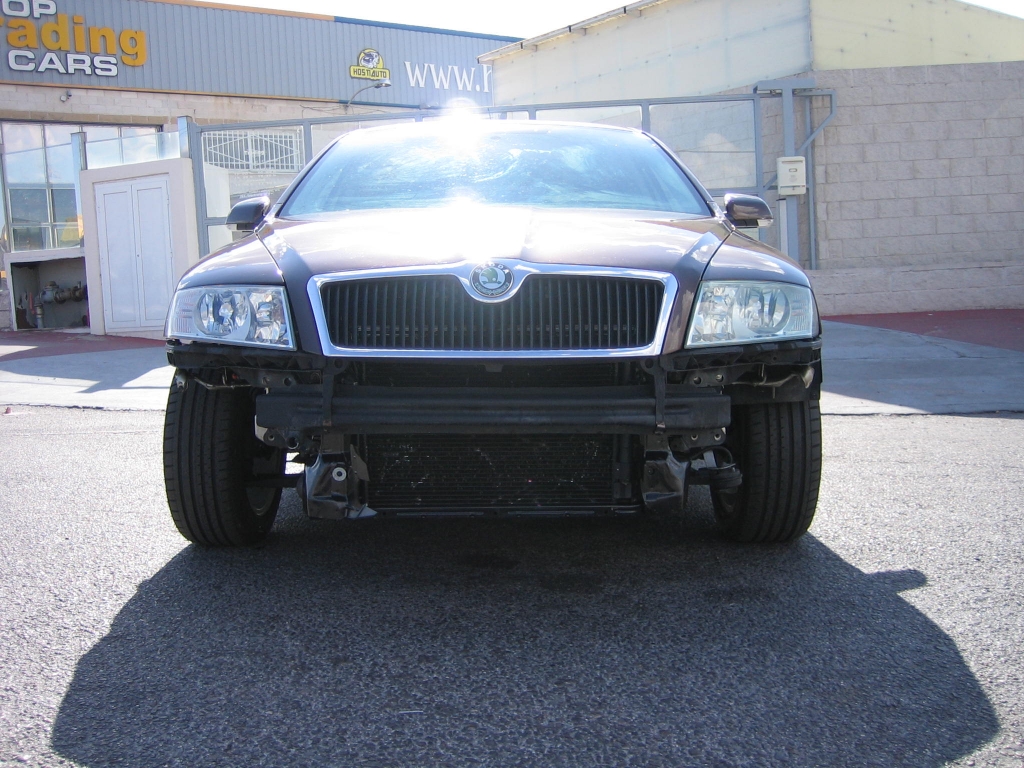 SKODA OCTAVIA 1.9 TDI 105CV
