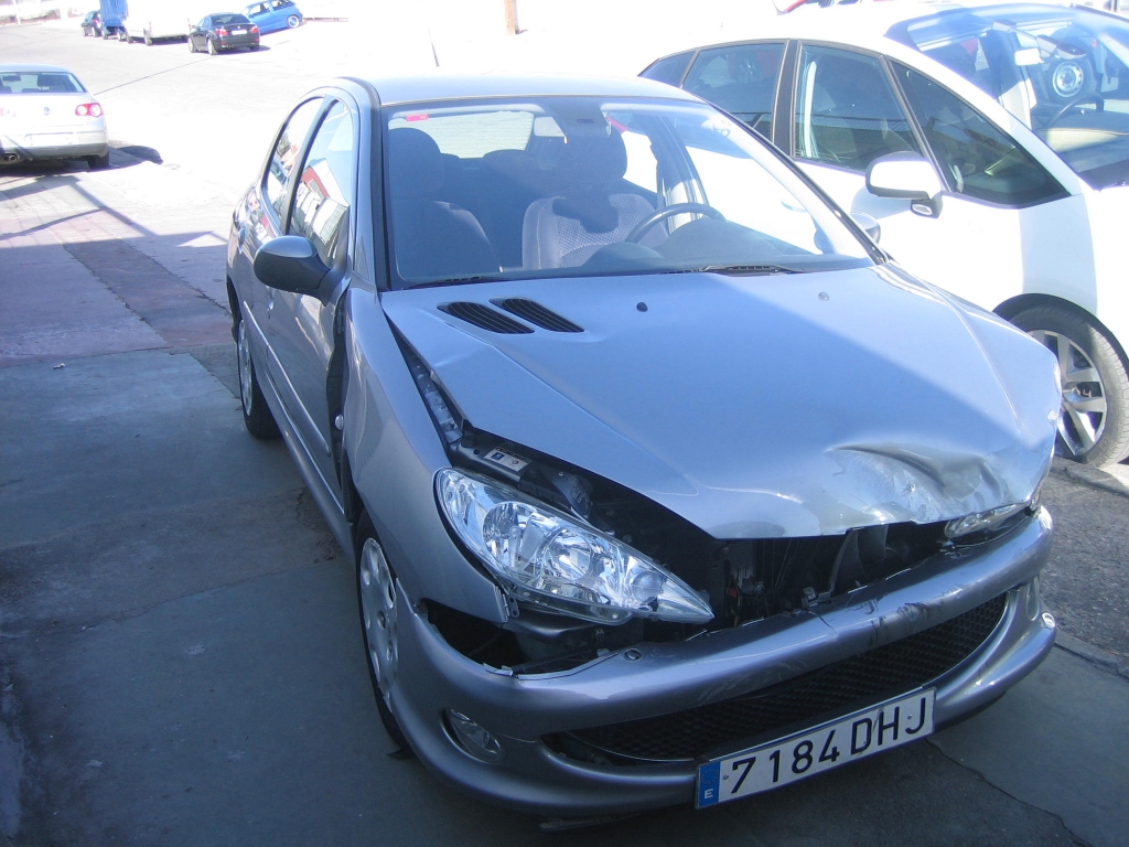 PEUGEOT 206 1.4 HDI 68CV