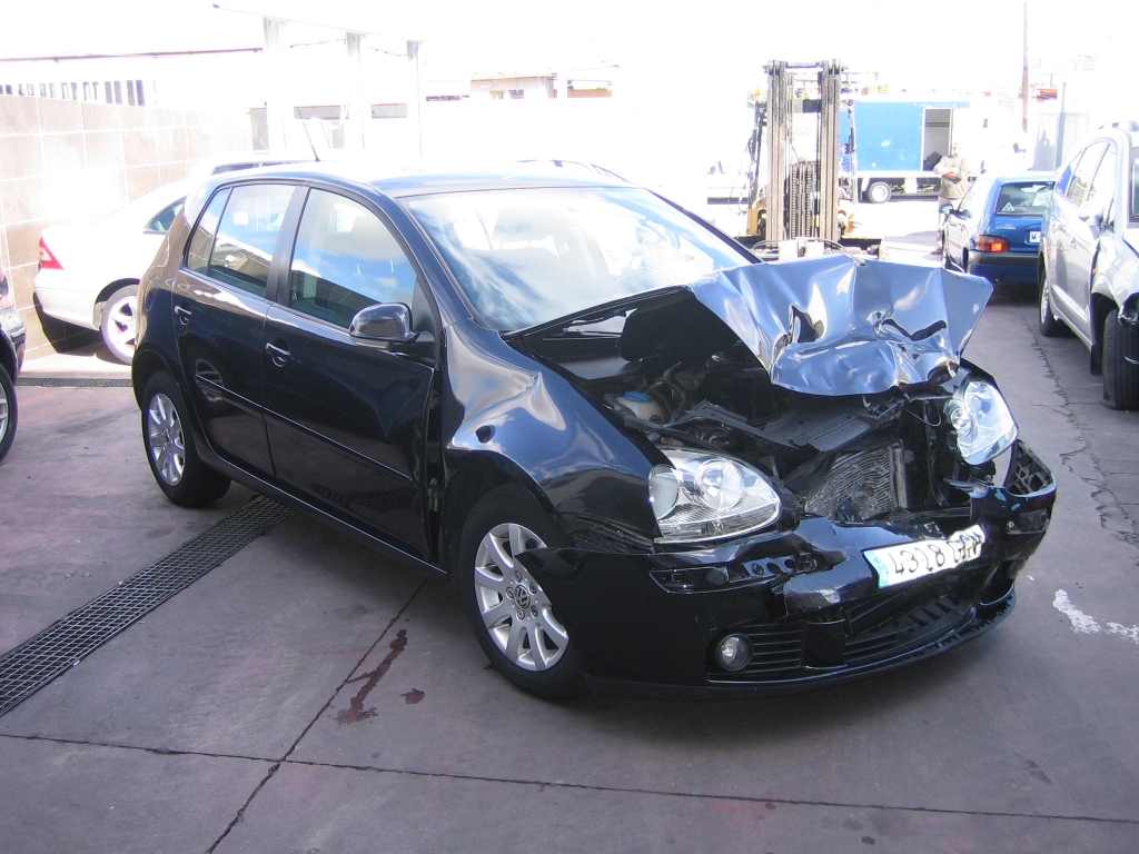 VOLSWAGEN GOLF V 1.9 TDI 105CV