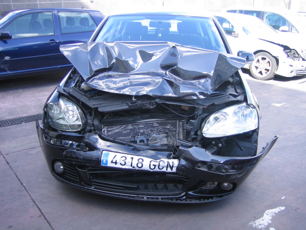 VOLSWAGEN GOLF V 1.9 TDI 105CV