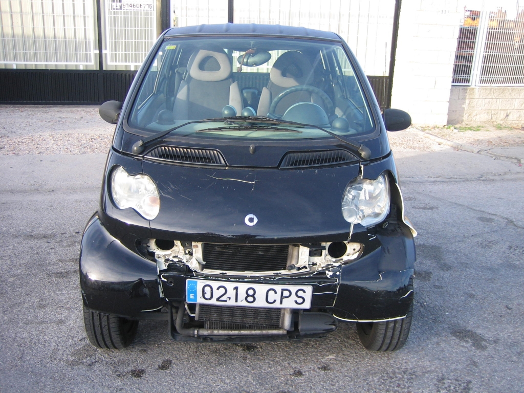 VISTA DELANTERA SMART 700 GASOLINA 61CV