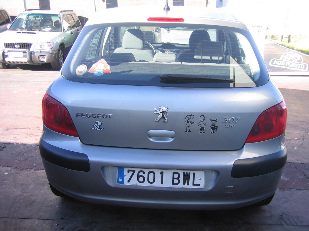 VISTA TRASERA PEUGEOT 307 2.0 XR HDI 90CV
