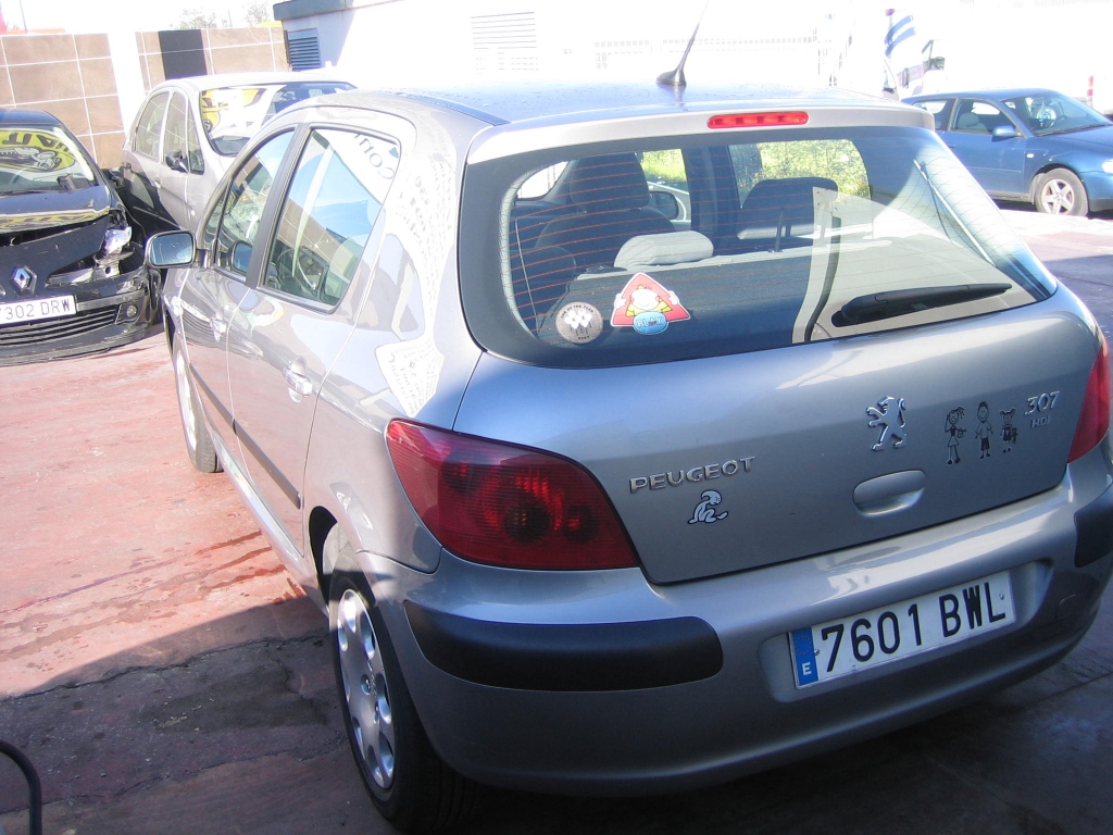 VISTA TRASERA IZQUIERDA PEUGEOT 307 2.0 XR HDI 90CV