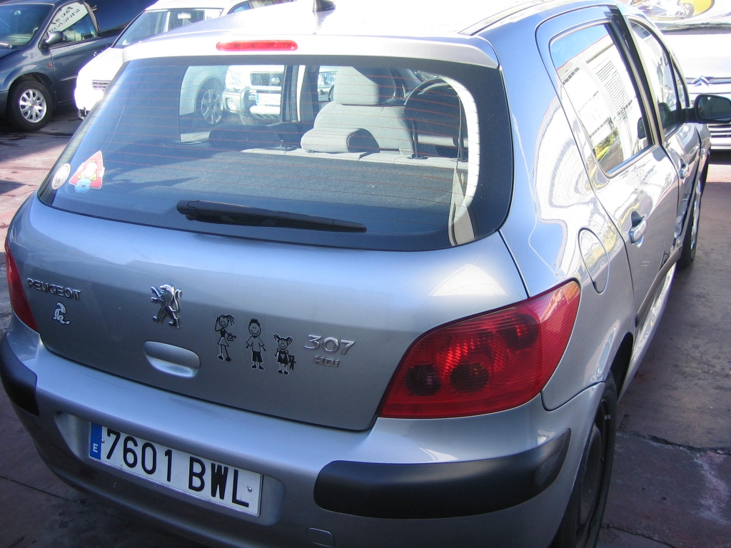 VISTA TRASERA DERECHA PEUGEOT 307 2.0 XR HDI 90CV