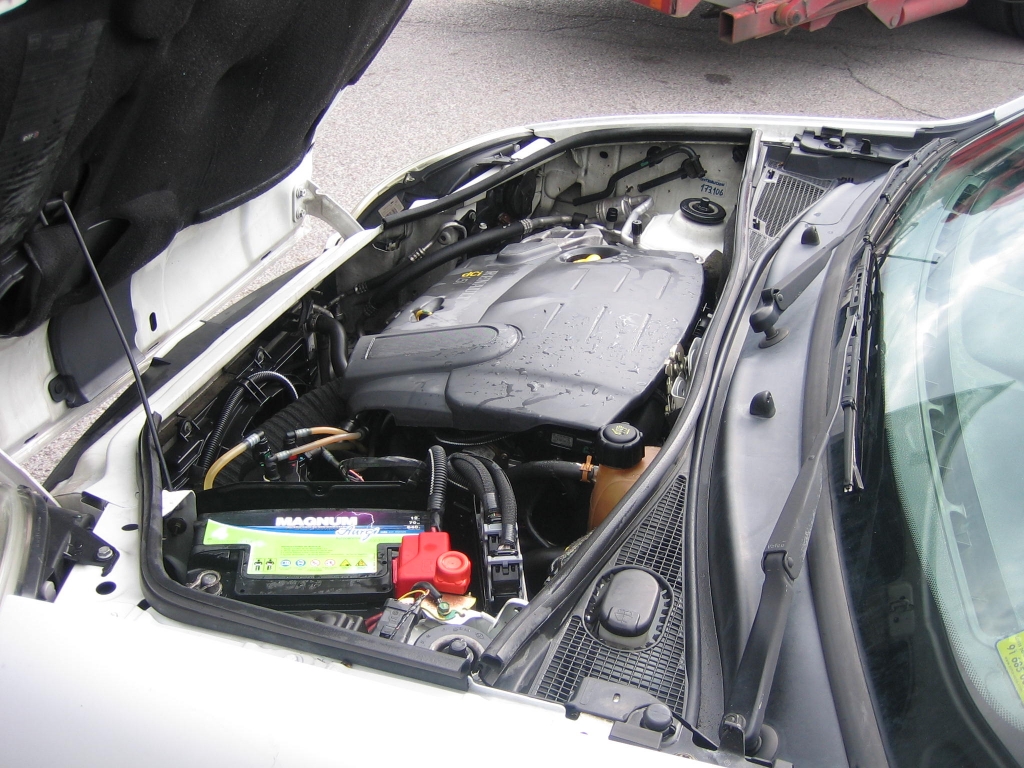 VISTA MOTOR RENAULT KANGOO 1.5 DCI 65CV COMBI