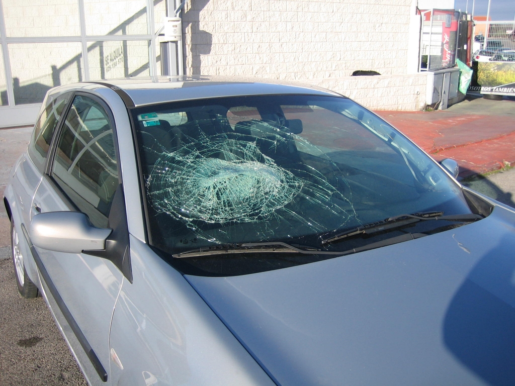 VISTA LUNA ROTA RENAULT MEGANE 1.5 DCI 81CV