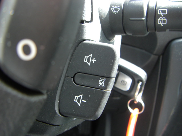 vista mandos audio en volante RENAULT CLIO GRAND TOUR 1.5 DCI 86CV