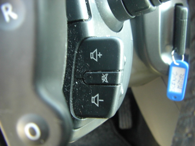 vista mandos audio en volante RENAULT MEGANE SCENIC 1.5 DCI 100CV