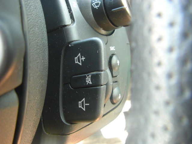 vista mandos audio en volante RENAULT SCENIC 1.5 DCI 105CV