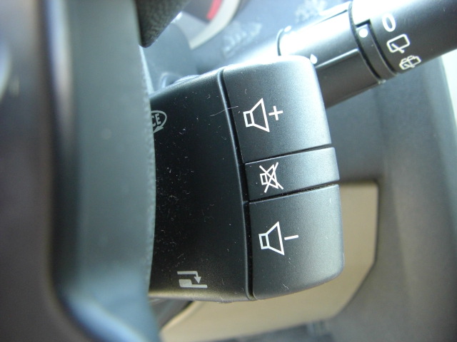 vista mandos audio en volante RENAULT MEGANE 1.5 DCI 100CV