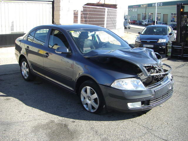 SKODA OCTAVIA 1.9 TDI 105CV