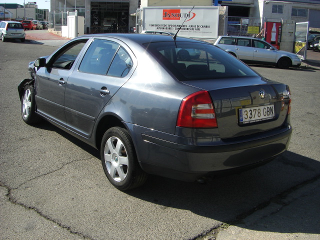 SKODA OCTAVIA 1.9 TDI 105CV