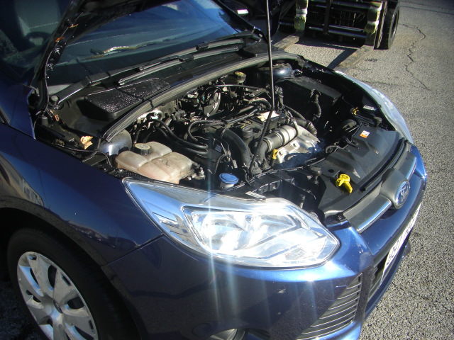 FORD FOCUS SPORBREAK TREND 1.6 TDCI 115CV