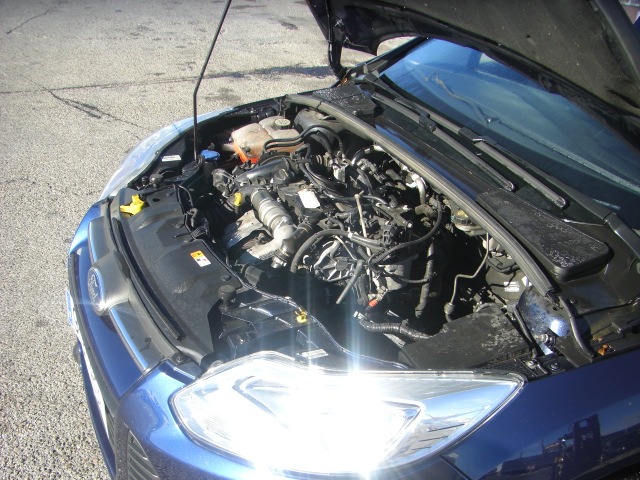 FORD FOCUS SPORBREAK TREND 1.6 TDCI 115CV