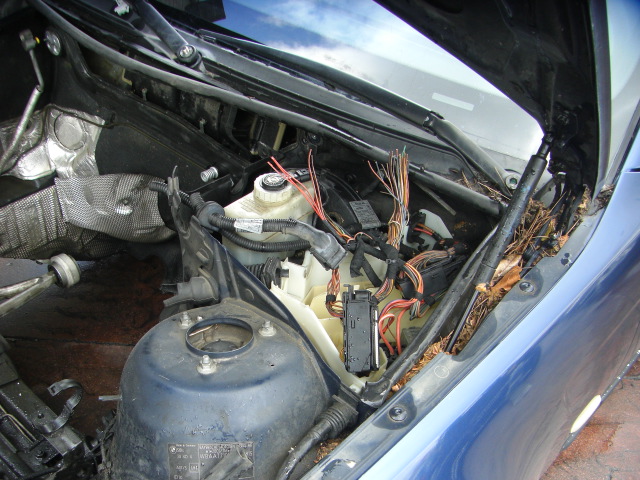 BMW 320 TD 2.0 COMPAQ 150CV