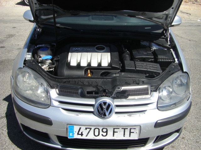 VOLKSWAGEN GOLF 1.9 TDI 105CV