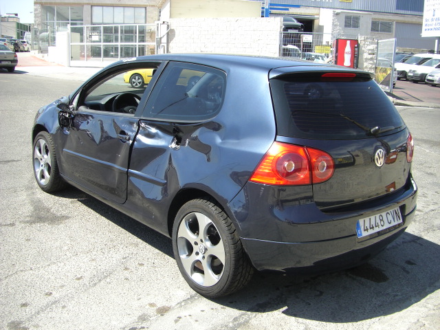 VOLKSWAGEN GOLF 1.9 TDI 105CV