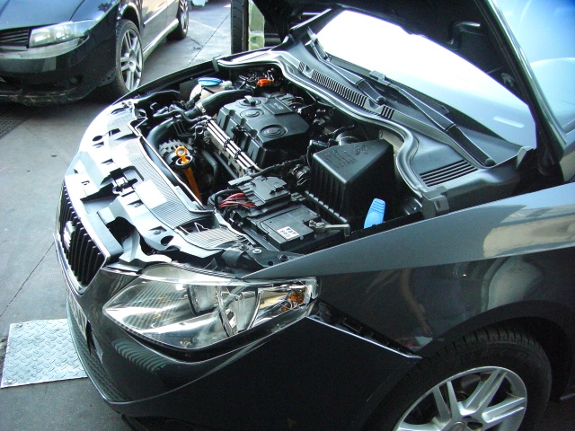 SEAT IBIZA 1.9 TDI 105CV