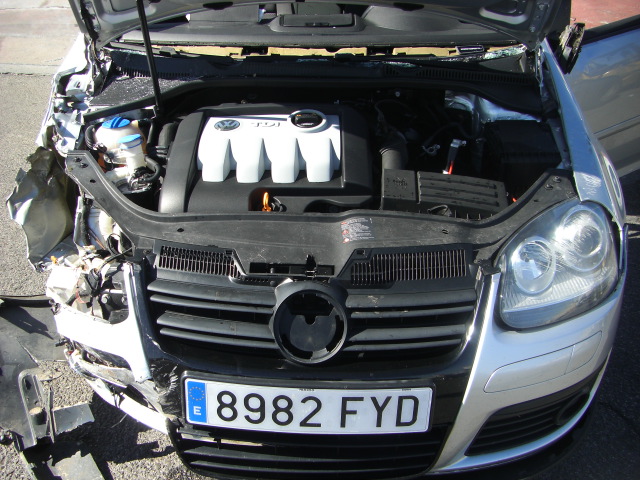 VOLKSWAGEN GOLF V 1.9 TDI 105CV