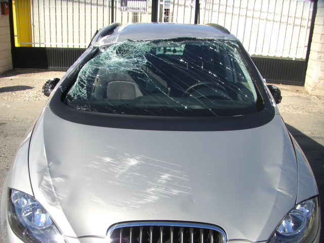 SEAT ALTEA XL 1.9 TDI 105CV