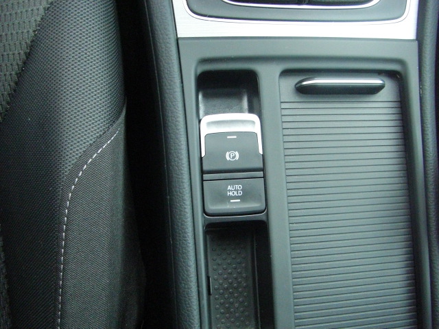 VOLKSWAGEN GOLF VII 1.6 TDI 110CV