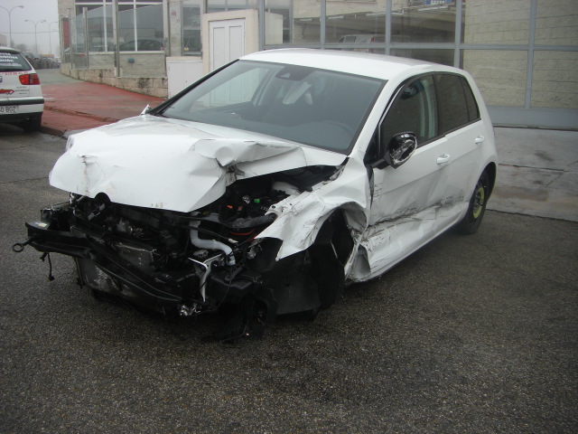 VOLKSWAGEN GOLF VII 1.6 TDI 110CV