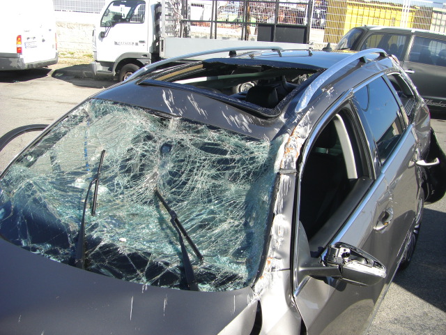 VOLKSWAGEN PASSAT 2.0 TDI 170CV