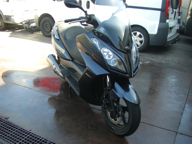 KIMCO SUPER DINK 125