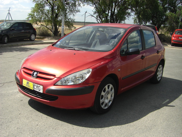 PEUGEOT 307 1.6 HDI 90CV