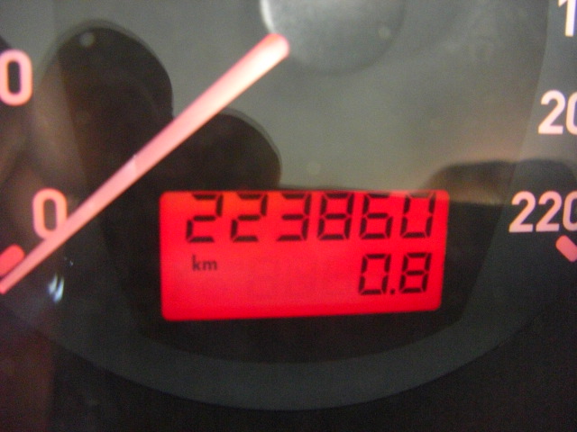 SEAT IBIZA 1.9 TDI 100CV