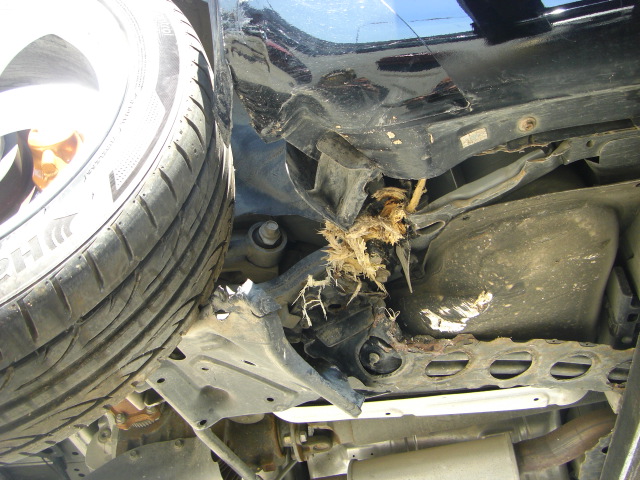 NISSAN Z350 3.5 V6 280CV