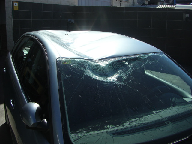 SEAT IBIZA 1.9 TDI 100CV