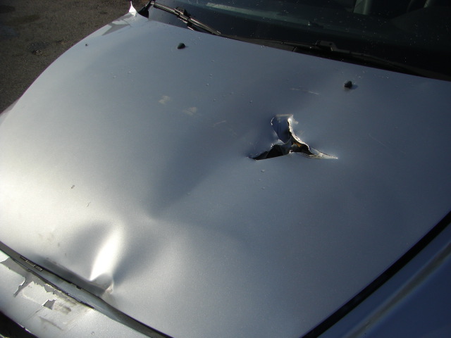 VOLVO V50 2.0 D 136CV