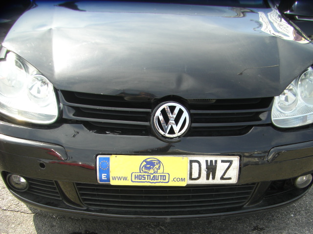VOLKSWAGEN GOLF 1.9 TDI 105CV