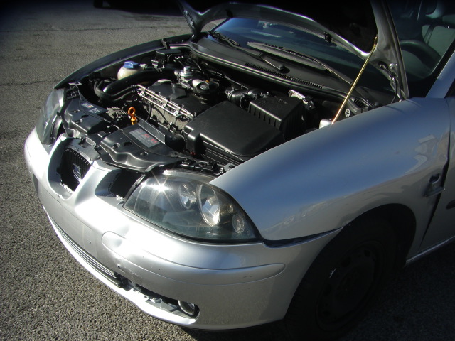 SEAT IBIZA 1.9 TDI 100CV