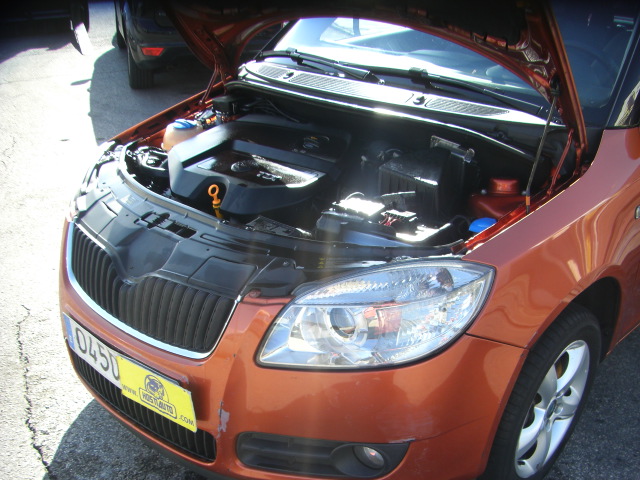 SKODA FABIA 1.9 TDI 105CV