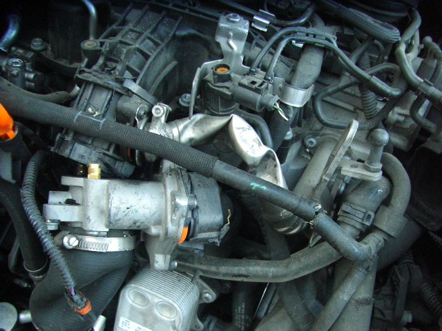 VOLKSWAGEN POLO 1.6 TDI 90CV