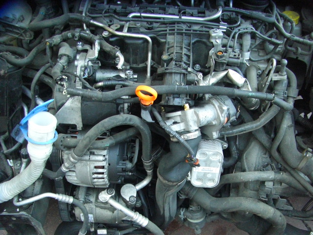 VOLKSWAGEN POLO 1.6 TDI 90CV