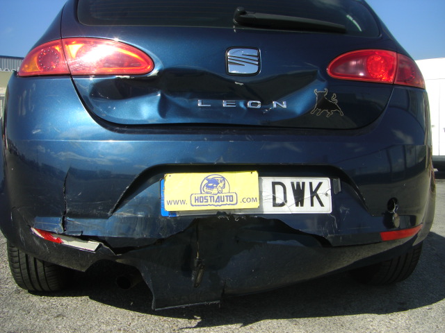 SEAT LEON 1.9 TDI 105CV