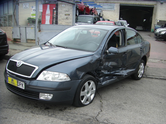 SKODA OCTAVIA 1.9 TDI 105CV