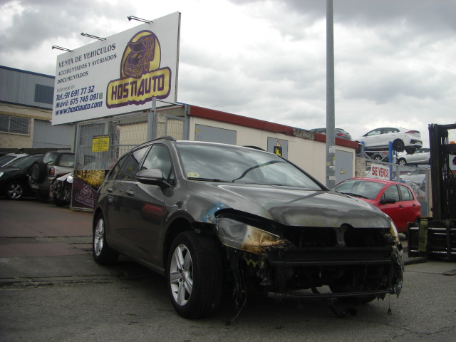 VOLKSWAGEN GOLF VARIANT BLUEMOTION 1.6 TDI 105CV