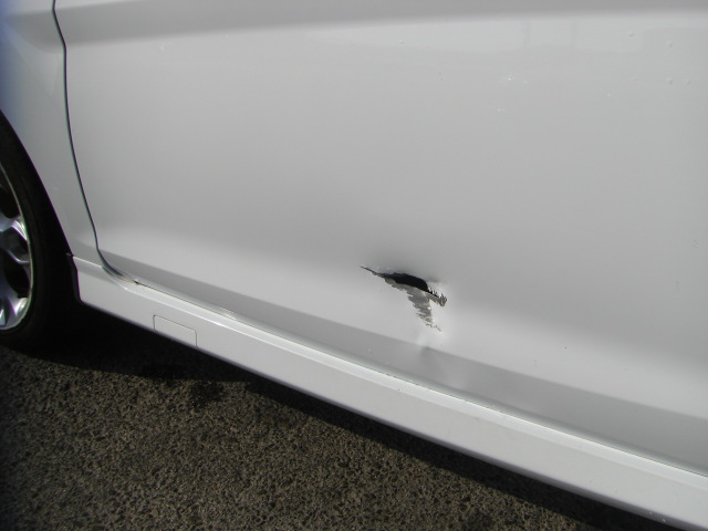 FORD FIESTA 1.6 I 120CV GASOLINA