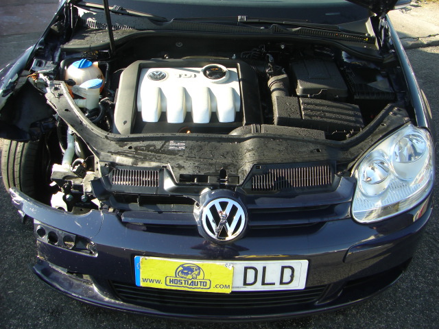 VOLKSWAGEN GOLF V 1.9 TDI 105CV