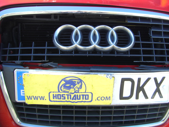 AUDI A3 1.9 TDI 105CV