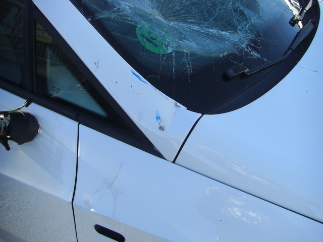 SEAT IBIZA 1.4 FSI 85CV