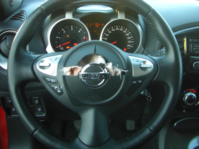 NISSAN JUKE 1.5 DCI 110CV