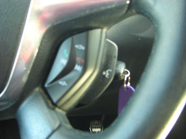 FORD FOCUS SPORT 1.6 TDCI 115CV